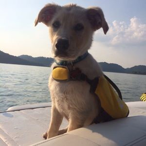 Hi I’m Cara! ☺︎